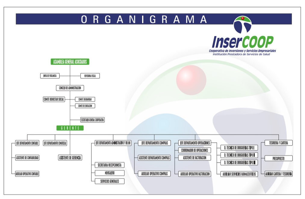 organigrama insercoop